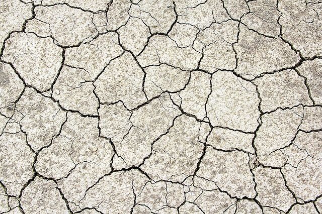 La escisión de sociedades como modificación estructural