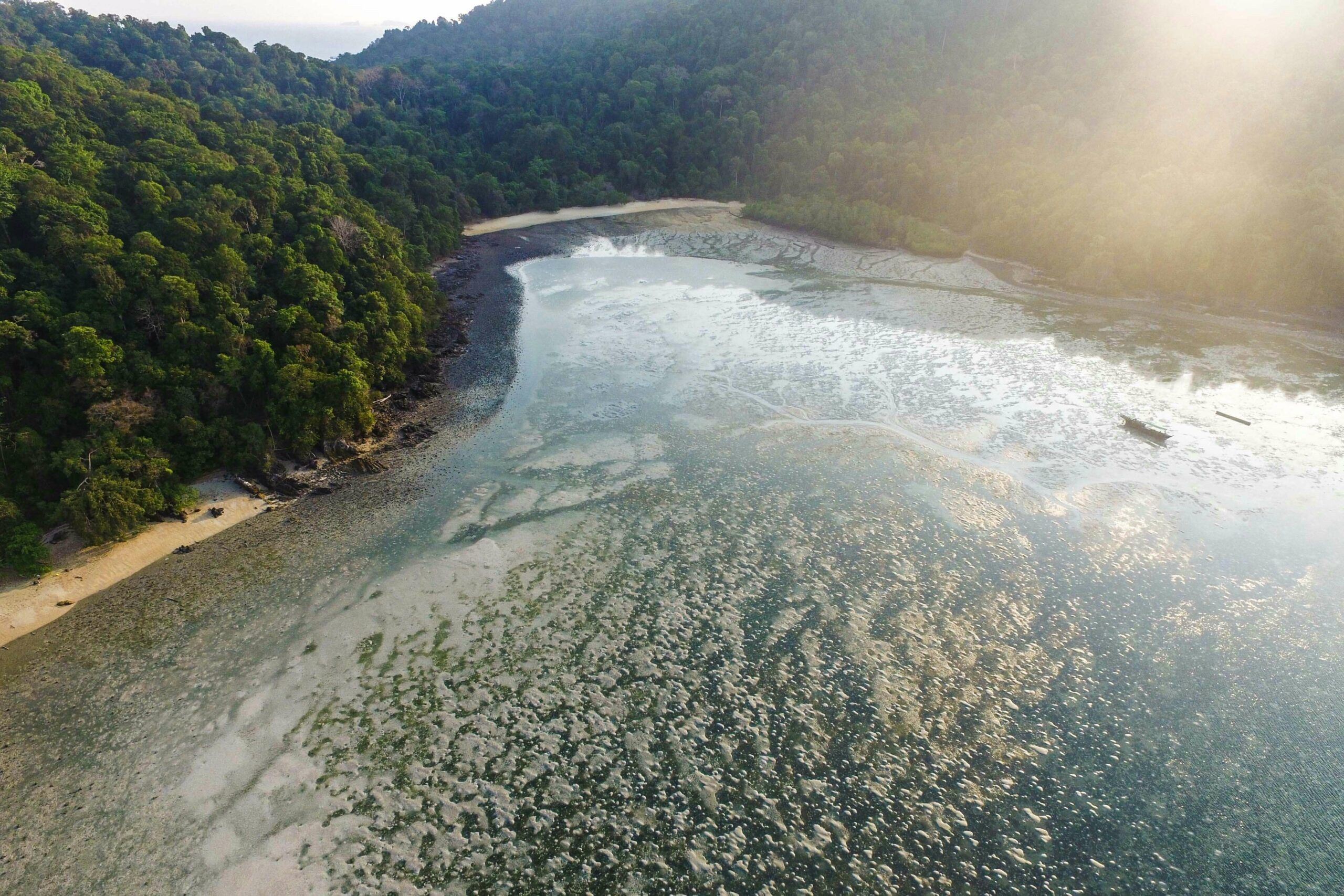 ¿Cómo conseguir que un negocio sea considerado “Carbon Neutral”?