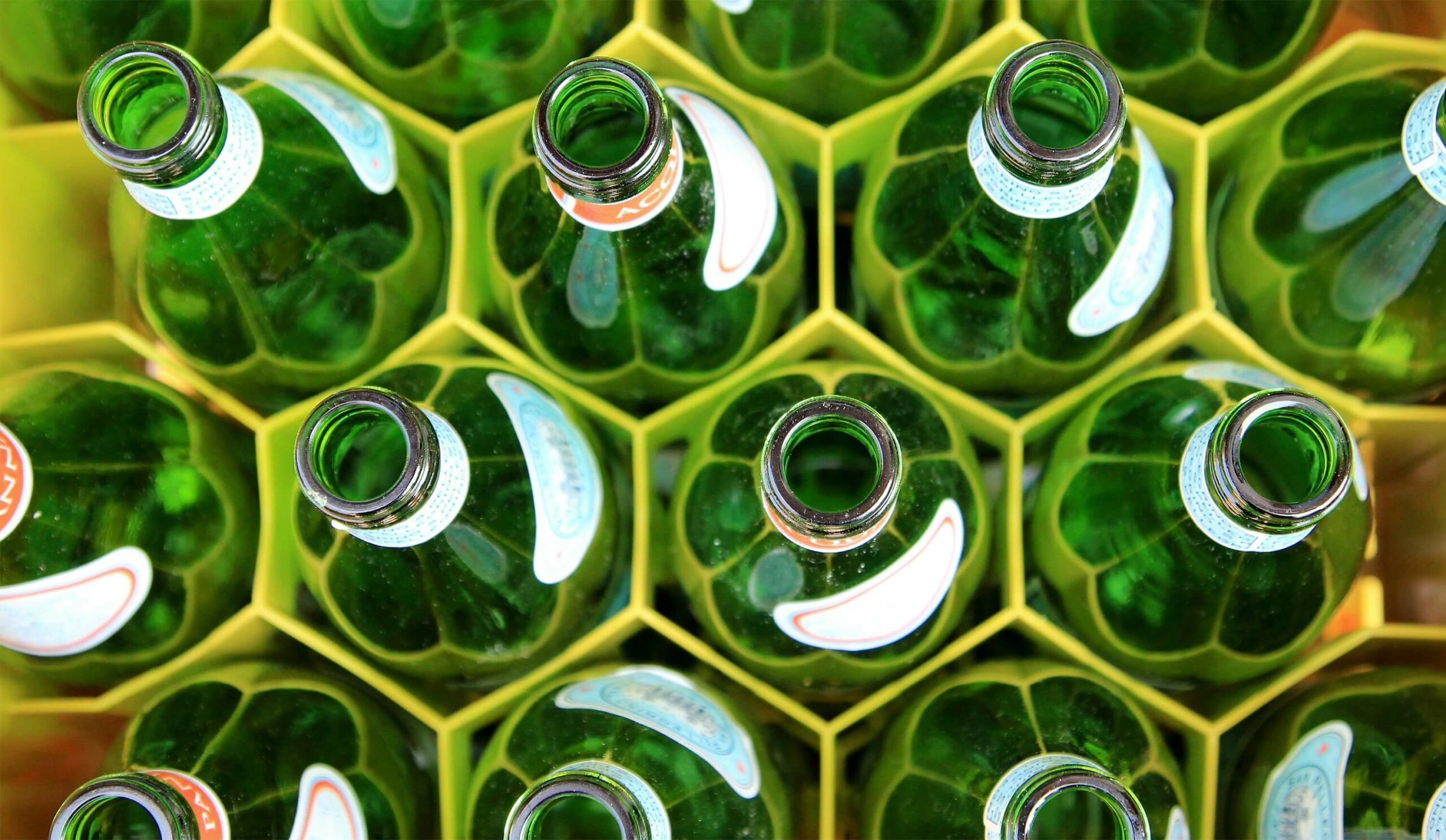 M&A y Economía Circular: Un Matrimonio Perfecto para el Futuro Sostenible