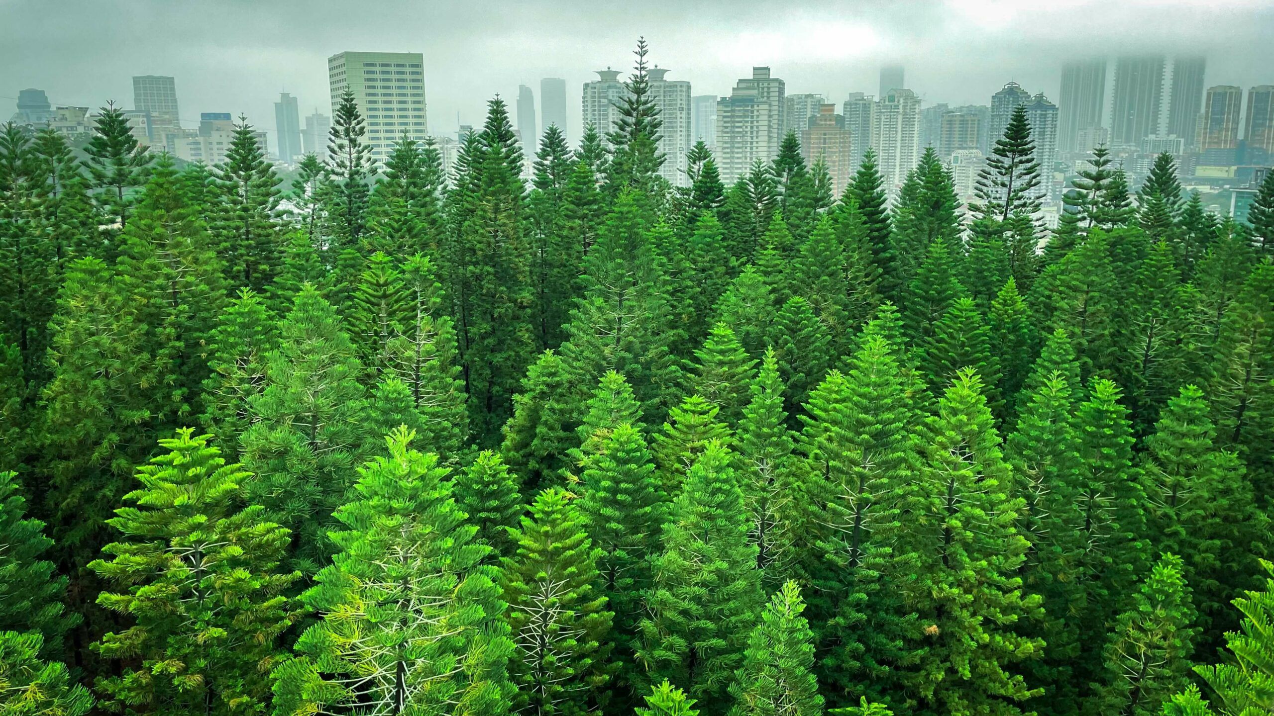 Why ESG Should Be the Heart of Your M&A Strategy: Unlock Synergies and Growth Potential