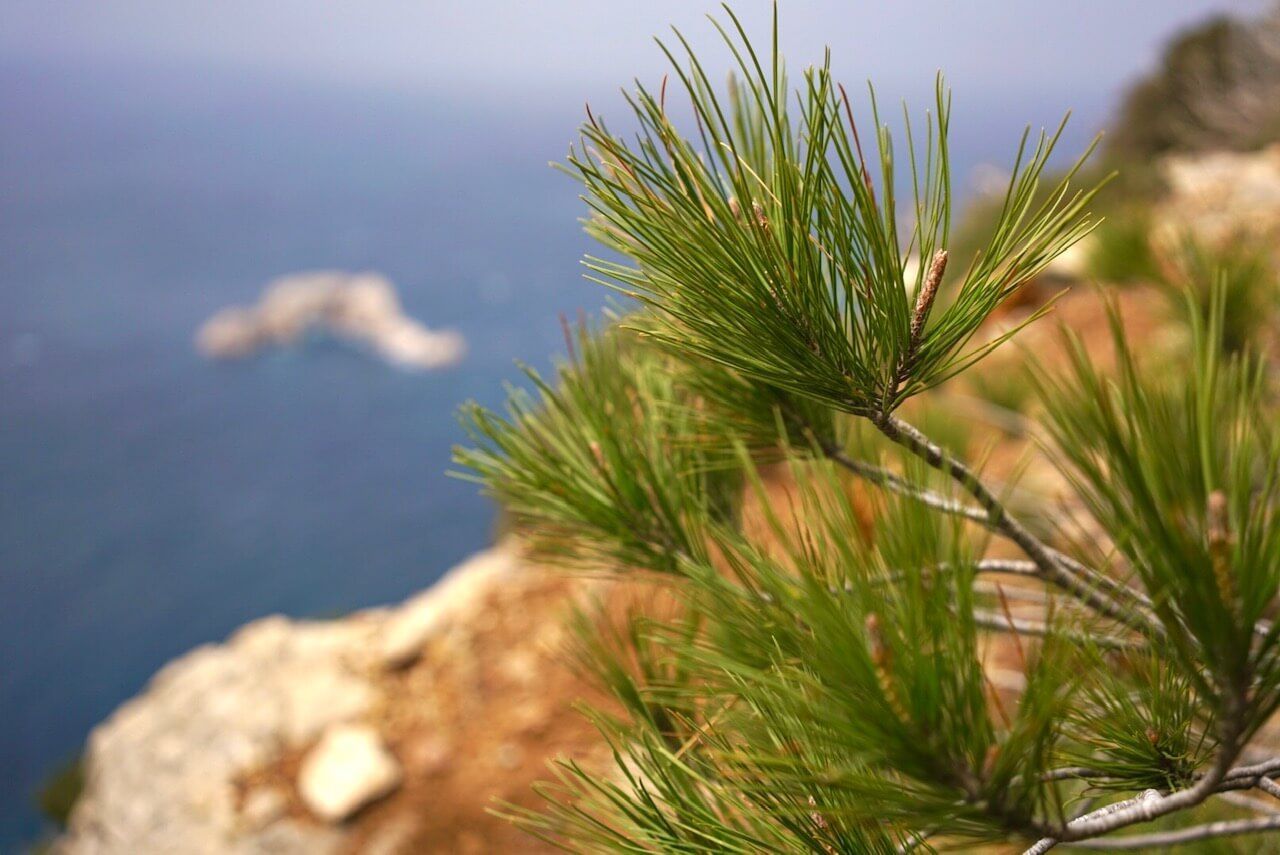 The essential Tax Law in Cyprus