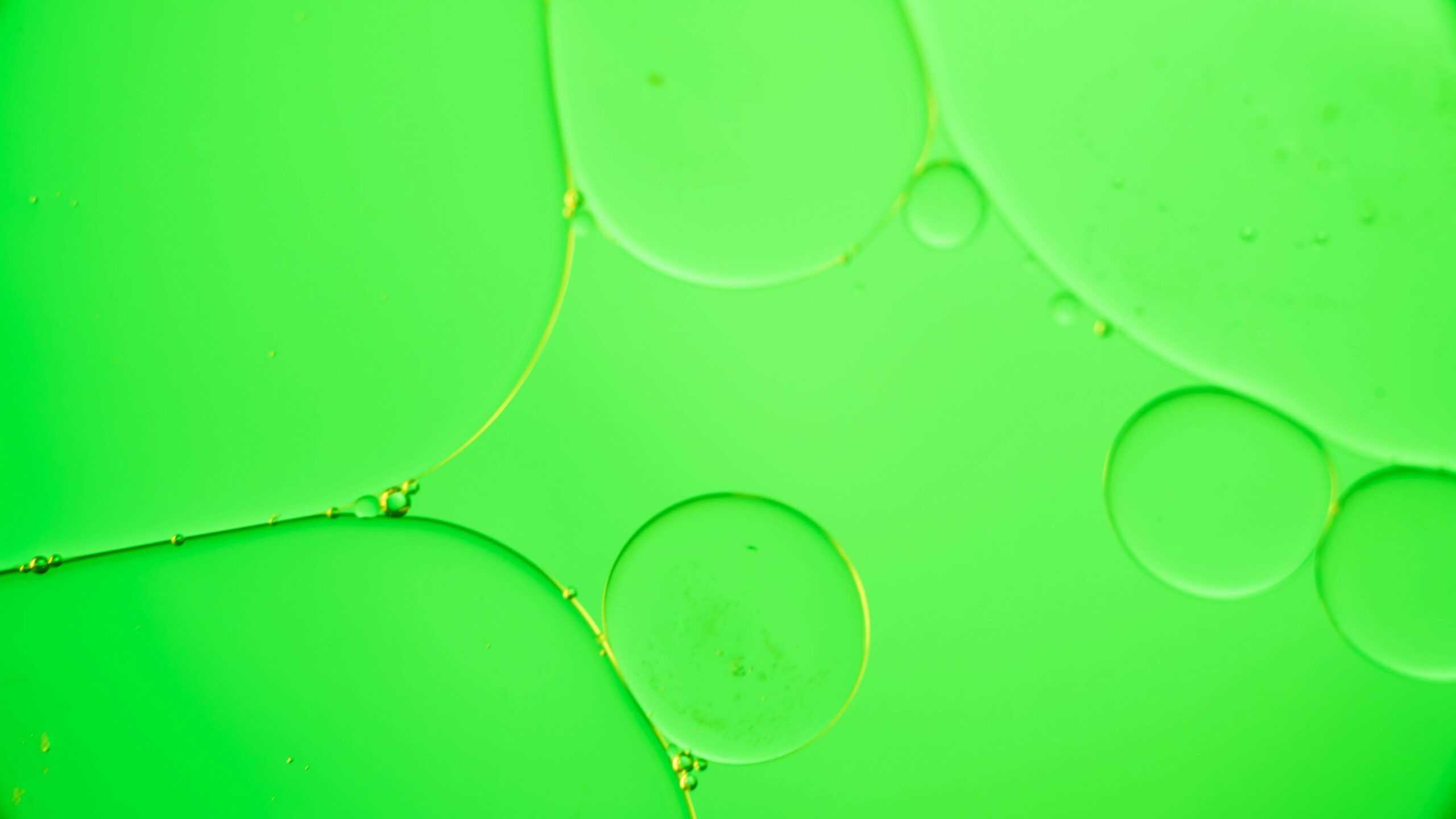 Regulation (EU) 2023/2631: Harmonized Framework for Green Bonds