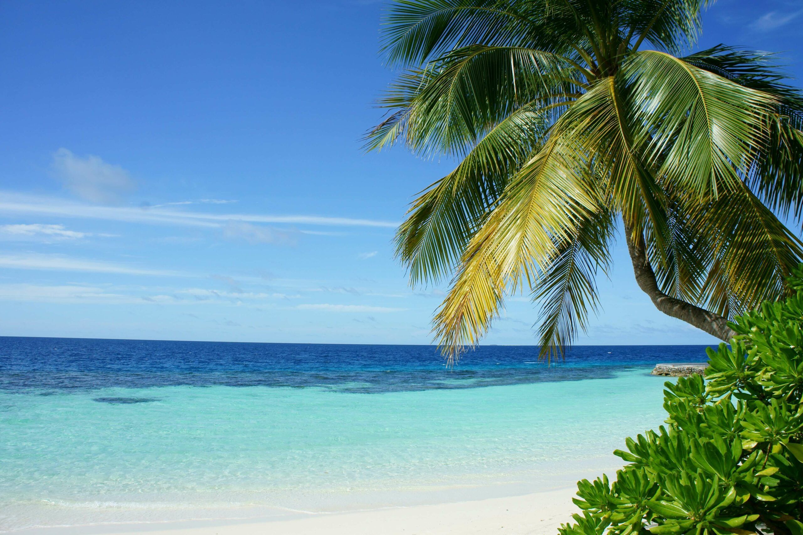 Offshore companies in Spain: Are they legal, what are the risks and benefits?