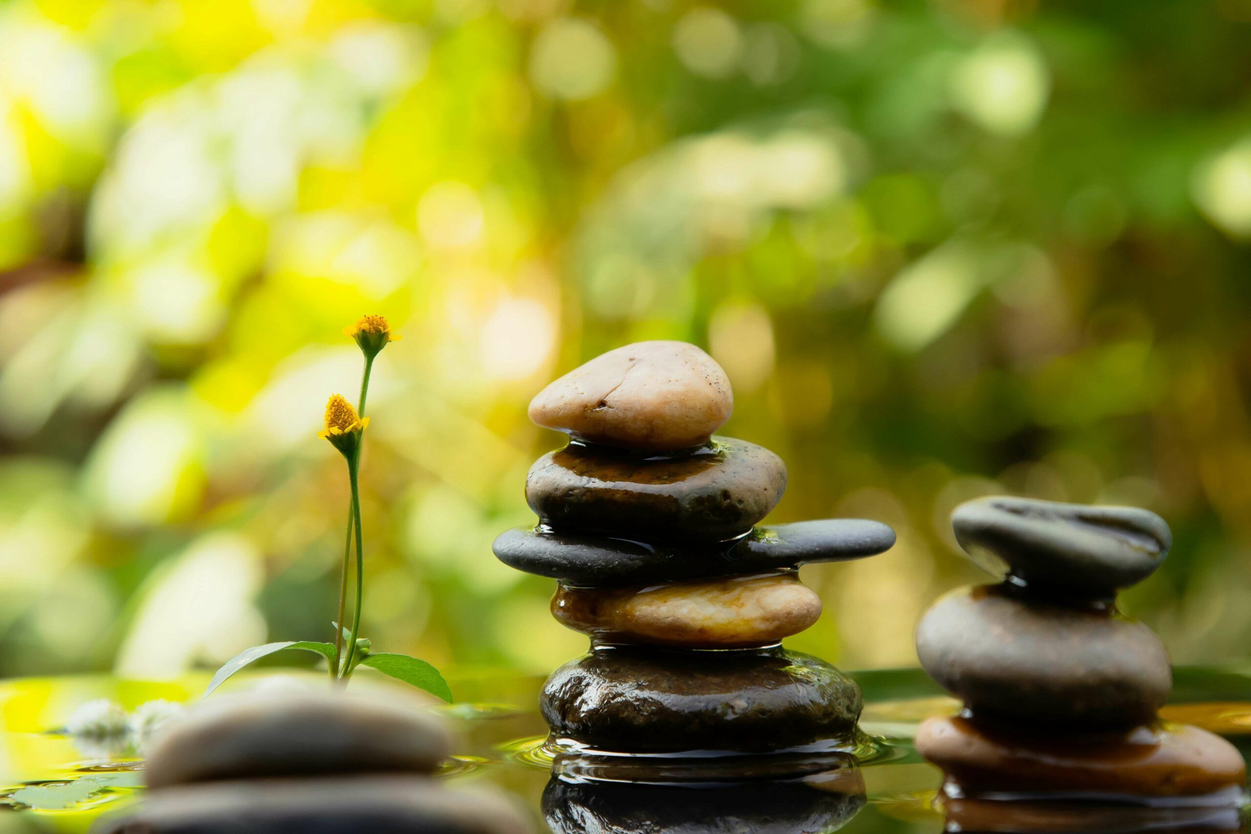 Are You Overlooking ESG Risks in Your Next M&A Deal? Learn How It Affects Your Company’s Value