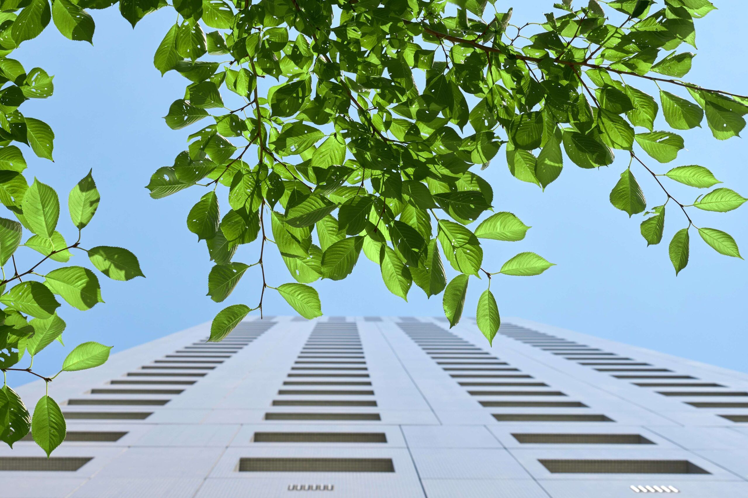 Mergers and Acquisitions in the Renewable Energy Sector: Legal and Regulatory Implications